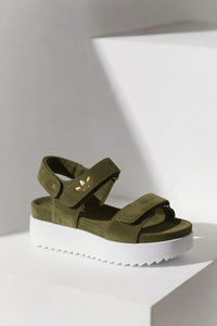 Vert Olive